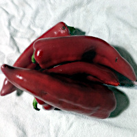 poivrons rouges